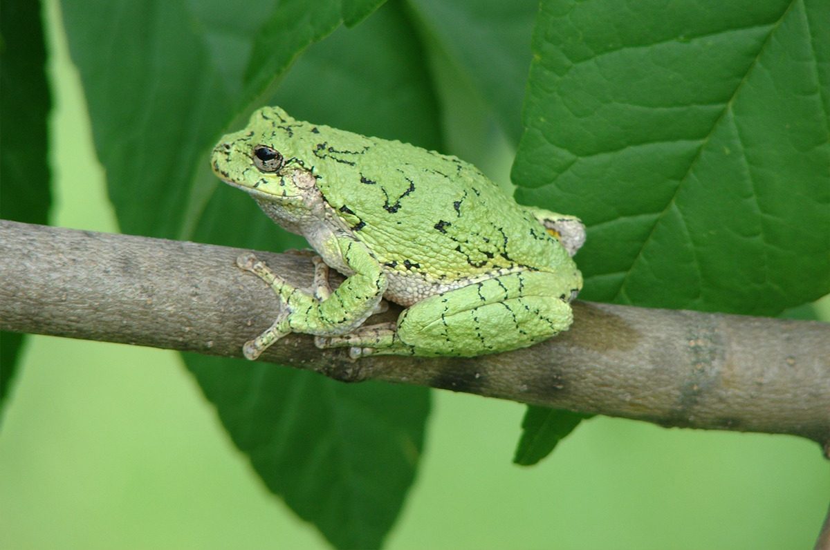 Thématique des milieux humides