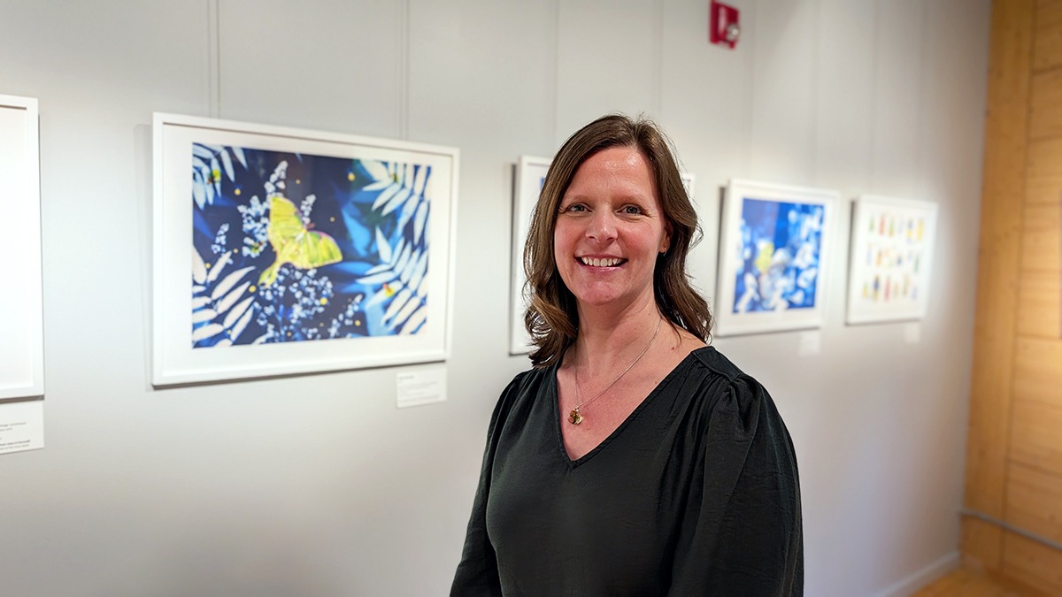 Jardins grouillants : une exposition de Sophie Rozenn Boucher au Centre d’interprétation du Marais